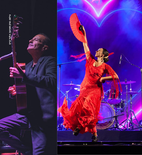 ���� ������ <br>�����,����, ����� ������ 