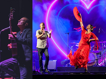 ���� ������ <br>�����,����, ����� ������ 